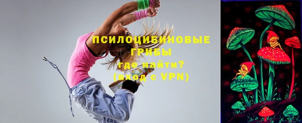 мет Арсеньев