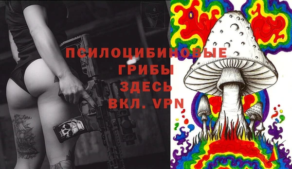 мет Арсеньев