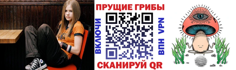 Псилоцибиновые грибы ЛСД  Купить  Гагарин 